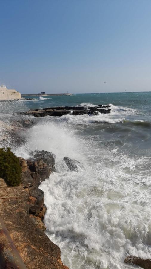 Il Vecchio Carrubo - Villa Con Piscina A Sfioro Macchia di Monte Buitenkant foto