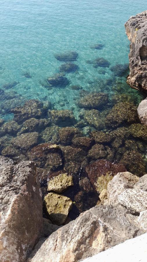Il Vecchio Carrubo - Villa Con Piscina A Sfioro Macchia di Monte Buitenkant foto